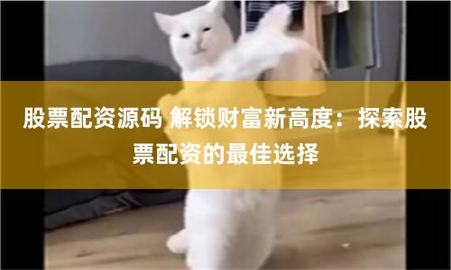 股票配资源码 解锁财富新高度：探索股票配资的最佳选择